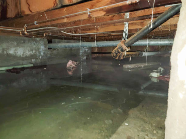 Best Residential water damage restoration  in Tarrant, AL
