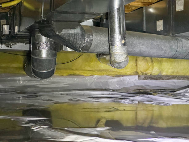 Best Commercial water damage restoration  in Tarrant, AL