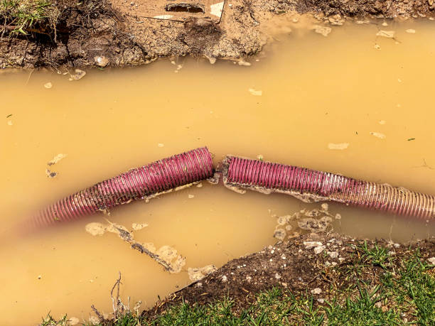 Water damage restoration mold remediation in Tarrant, AL