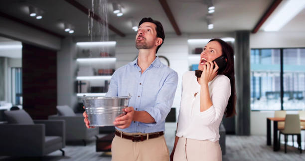 Best Ceiling water damage repair  in Tarrant, AL