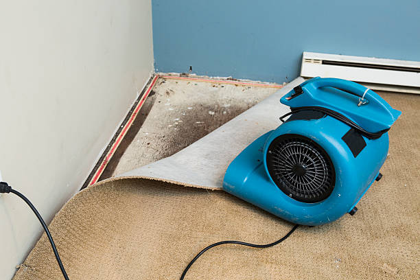 Best Flood damage cleanup  in Tarrant, AL